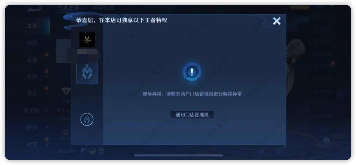 图片[12]-金牌商家王者特权 · 王者开小号带妹上分神器-枭木iOS官网