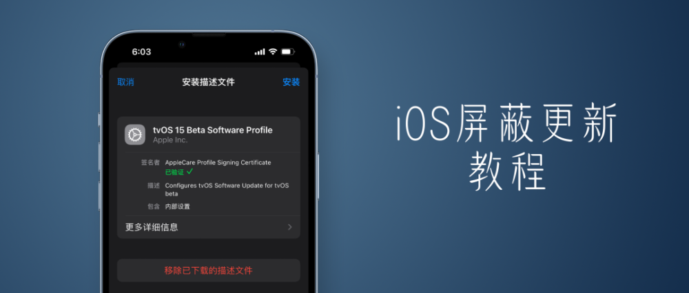 系统屏蔽更新，最新的tvOS17配置文件-枭木iOS官网